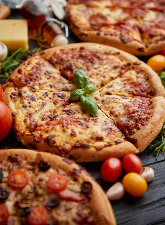 menu left SAM 01 copy